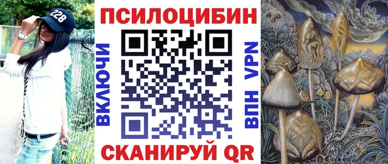 Купить закладки  Дно  Псилоцибиновые грибы Psilocybine cubensis 